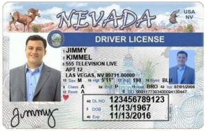 Mobile Notary NV Nevada mobilenotarynv.com